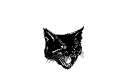 Blackmagicsupps