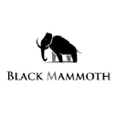 blackmammoth.com.mx