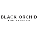Black Orchid Denim