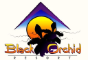 blackorchidresort.com