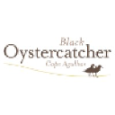 blackoystercatcher.co.za