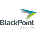 blackpointconsulting.com.au
