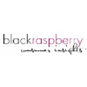blackraspberryinsights.com