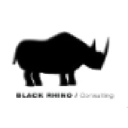 blackrhinoconsulting.com