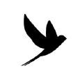 Black Swallow AUS Logo