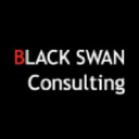 blackswanconsultinggroup.com