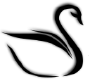blackswanfp.com