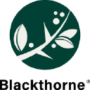 Blackthorne Consulting logo