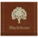 Blackthorn Investment Group logo