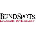 Blindspotsglobal
