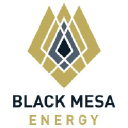 Black Mesa Energy