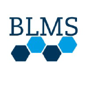blmsconsulting.co.uk