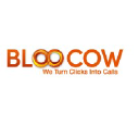 bloocow.com