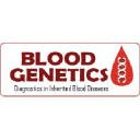 bloodgenetics.com