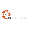 bloodhoundsa.com