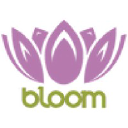 bloomchile.com
