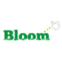 bloommarketing.es