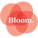 bloommedia.co