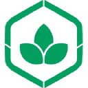 Bloom Software