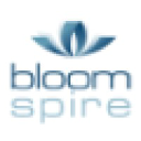 bloomspire.com