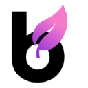 Binoid logo