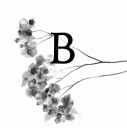 blossom-bliss.com