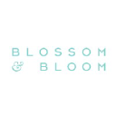 blossomandbloom.ae