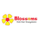 blossomsfruitarrangements.com