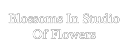 Blossoms In Studio of Flowers