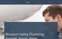 blossomvalleyplumbing.com
