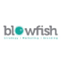 blowfishagency.com