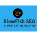 blowfishseo.com