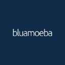 bluamoeba.com