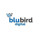 blubirddigital.com