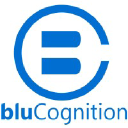 blucognition.com