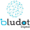 bludotdigital.com