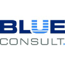 blue-consult.de