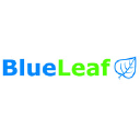 blue-leaf.ca