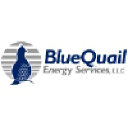 blue-quail.com