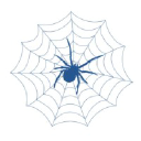 blue-spider.co