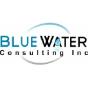 blue-waterconsulting.com