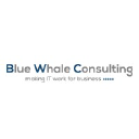 blue-whale-consulting.co.uk