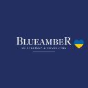 blueamber.com.pl