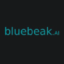 bluebeak.ai