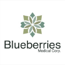 blueberriesmed.com