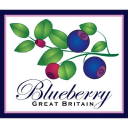 Blueberry London