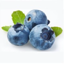 blueberryconsulting.com