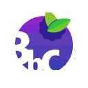 blueberrycs.com