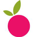 Logo for blueberrydiapers.com