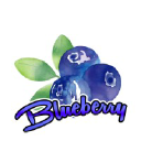 blueberryfoods.com